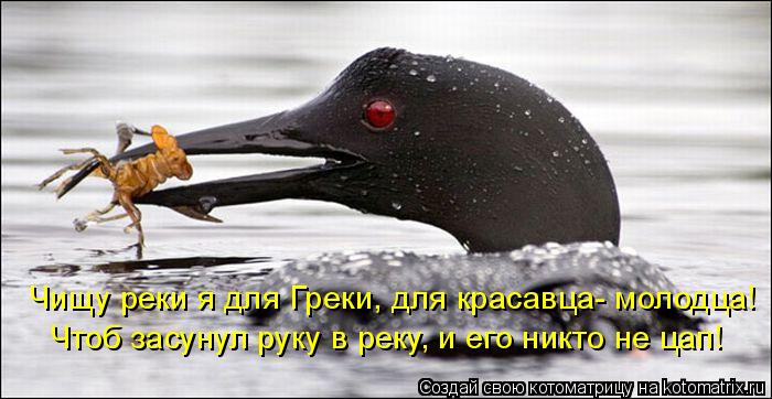 Чищу реки я для Греки, для красавца- молодца! Чтоб засунул руку в реку, и его никто не цап!... Котоматрица: Чищу реки я для Греки, для красавца- молодца! Чтоб засунул руку в реку, и его никто не цап!