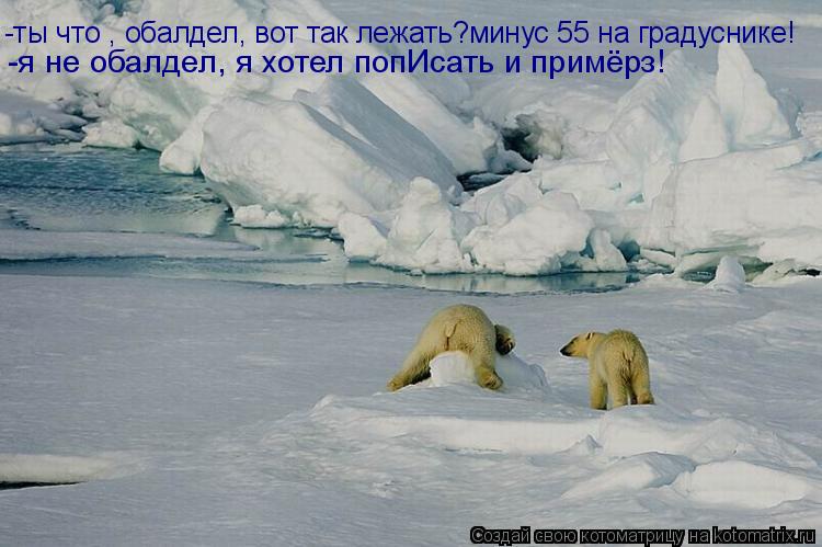 Котоматрица: -я не обалдел, я хотел попИсать и примёрз! -ты что , обалдел, вот так лежать?минус 55 на градуснике!