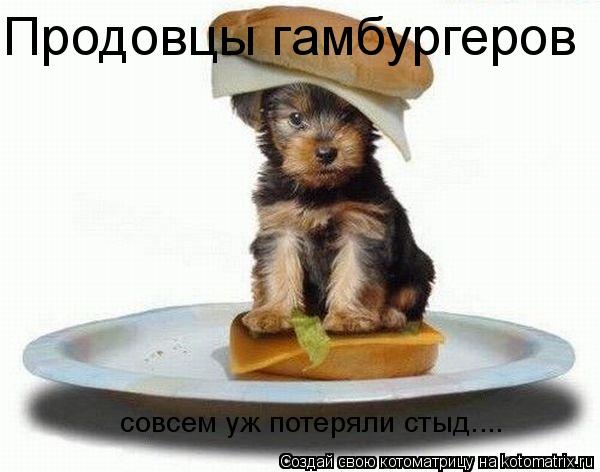 Котоматрица: Продовцы гамбургеров совсем уж потеряли стыд....
