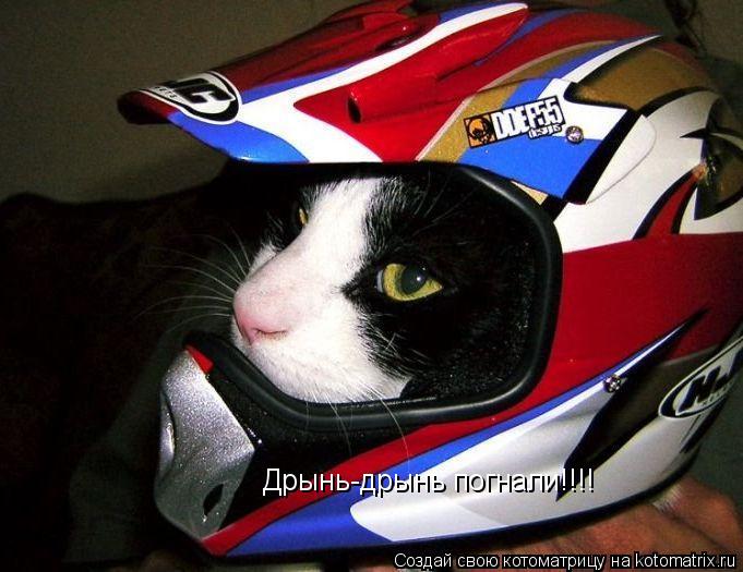 Котоматрица: Дрынь-дрынь погнали!!!!