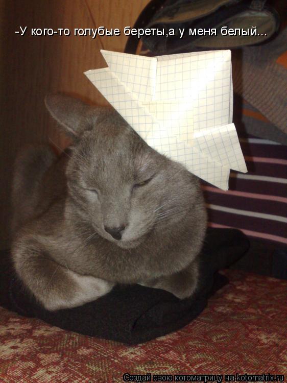 Котоматрица: -У кого-то голубые береты,а у меня белый...