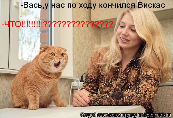 Котоматрица: -Вась,у нас по ходу кончился Вискас -ЧТО!!!!!!!!!???????????????