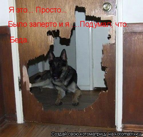 Котоматрица: Я это... Просто... Было заперто и я ....Подумал, что. Беда.