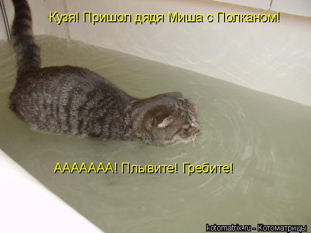 Кузя! Пришол дядя Миша с Полканом! ААААААА! Плывите! Гребите!... Котоматрица: Кузя! Пришол дядя Миша с Полканом! ААААААА! Плывите! Гребите!
