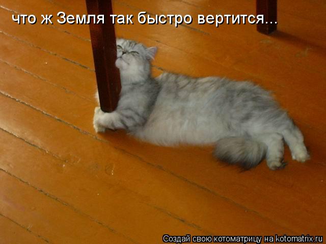 что ж Земля так быстро вертится...... Котоматрица: что ж Земля так быстро вертится...