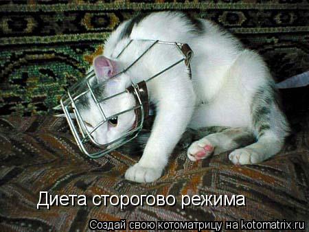 Диета сторогово режима... Котоматрица: Диета сторогово режима