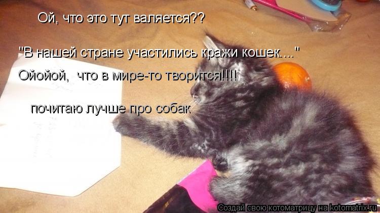 Ой, что это тут валяется?? "В нашей стране участились кражи кошек...." Ойойой, что в мире-то творитс... Котоматрица: Ой, что это тут валяется?? "В нашей стране участились кражи кошек...." Ойойой, что в мире-то творится!!!! почитаю лучше про собак