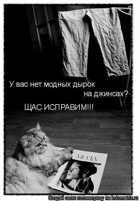 У вас нет модных дырок на джинсах? ЩАС ИСПРАВИМ!!!... Котоматрица: У вас нет модных дырок на джинсах? ЩАС ИСПРАВИМ!!!