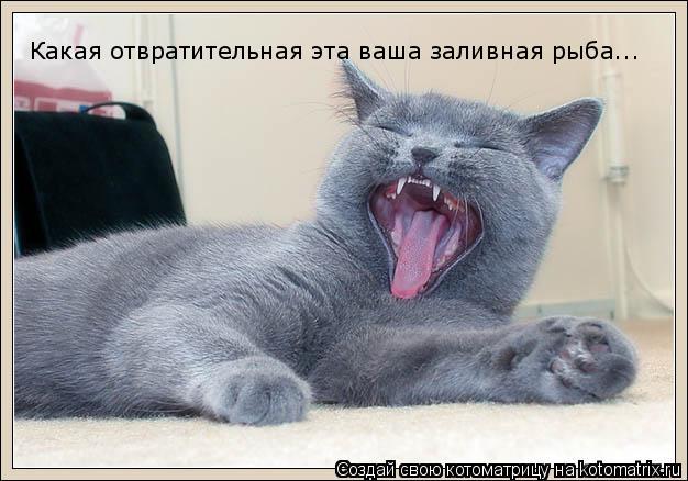 Какая отвратительная эта ваша заливная рыба...... Котоматрица: Какая отвратительная эта ваша заливная рыба...