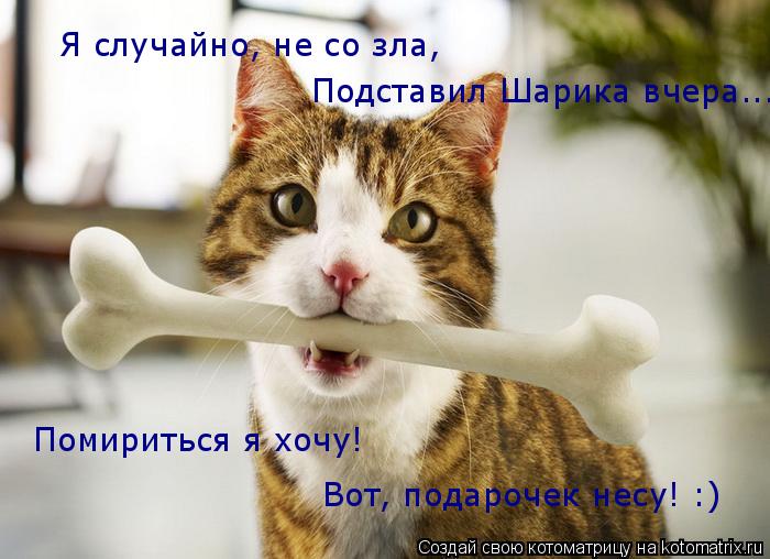 Я случайно, не со зла, Подставил Шарика вчера... Помириться я хочу! Вот, подарочек несу! :)... Котоматрица: Я случайно, не со зла, Подставил Шарика вчера... Помириться я хочу! Вот, подарочек несу! :)