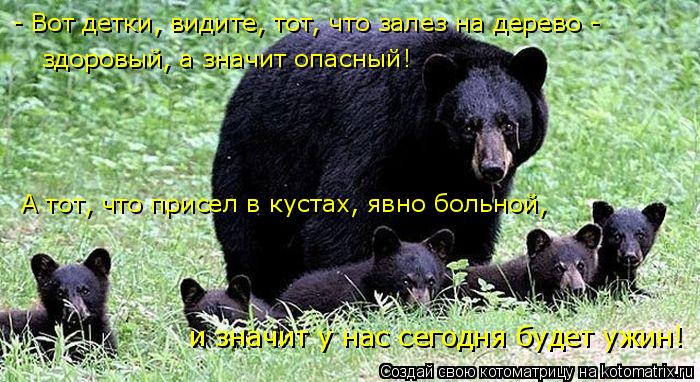 - Вот детки, видите, тот, что залез на дерево - здоровый, а значит опасный! А тот, что присел в куста... Котоматрица: - Вот детки, видите, тот, что залез на дерево - здоровый, а значит опасный! А тот, что присел в кустах, явно больной, и значит у нас сегодня будет