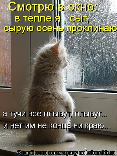 Смотрю в окно: в тепле я , сыт, сырую осень проклинаю а тучи всё плывут, плывут... и нет им не конца... Котоматрица: Смотрю в окно: в тепле я , сыт, сырую осень проклинаю а тучи всё плывут, плывут... и нет им не конца ни краю...