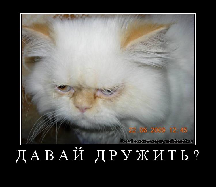 Давай дружить? ... Котоматрица: Давай дружить?