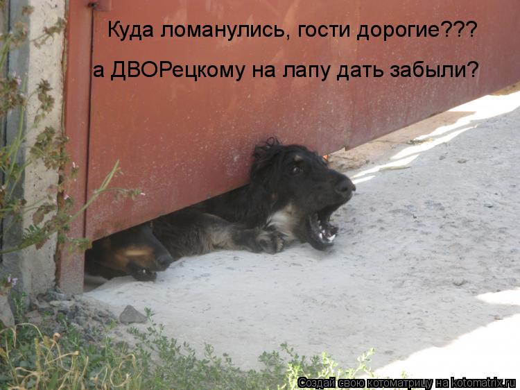 Куда ломанулись, гости дорогие??? а ДВОРецкому на лапу дать забыли?... Котоматрица: Куда ломанулись, гости дорогие??? а ДВОРецкому на лапу дать забыли?