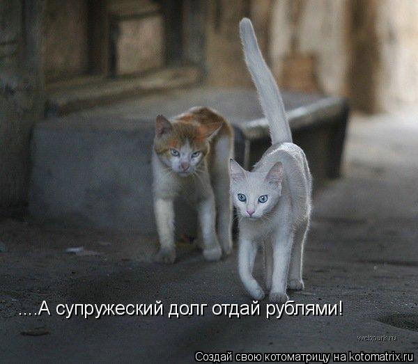 ....А супружеский долг отдай рублями!... Котоматрица: ....А супружеский долг отдай рублями!