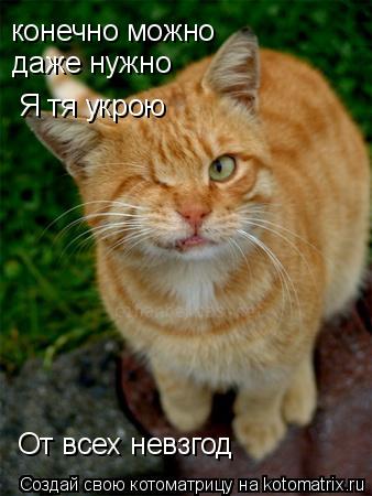 конечно можно даже нужно Я тя укрою От всех невзгод... Котоматрица: конечно можно даже нужно Я тя укрою От всех невзгод