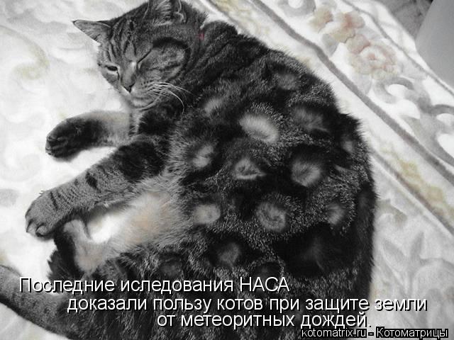 Последние иследования НАСА доказали пользу котов при защите земли от метеоритных дождей.... Котоматрица: Последние иследования НАСА доказали пользу котов при защите земли от метеоритных дождей.