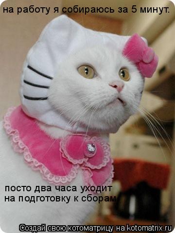на работу я собираюсь за 5 минут. посто два часа уходит на подготовку к сборам.... Котоматрица: на работу я собираюсь за 5 минут. посто два часа уходит на подготовку к сборам.