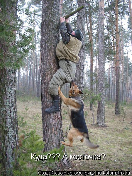 Куда??? А косточка?... Котоматрица: Куда??? А косточка?