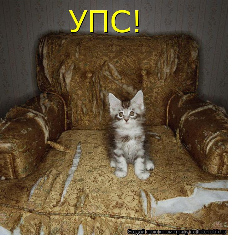 УПС!... Котоматрица: УПС!