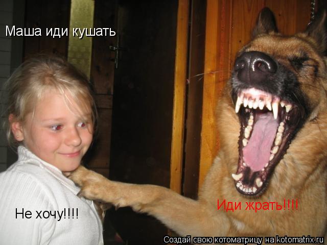 Маша иди кушать Не хочу!!!! Иди жрать!!!!... Котоматрица: Маша иди кушать Не хочу!!!! Иди жрать!!!!