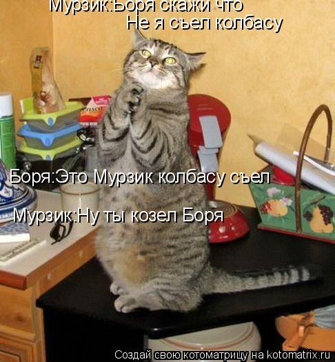 Боря:Это Мурзик колбасу съел Не я съел колбасу Мурзик:Боря скажи что Мурзик:Ну ты козел Боря... Котоматрица: Боря:Это Мурзик колбасу съел Не я съел колбасу Мурзик:Боря скажи что Мурзик:Ну ты козел Боря