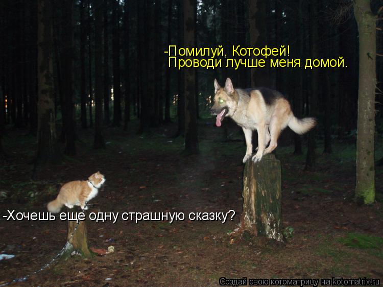 -Хочешь еще одну страшную сказку? -Помилуй, Котофей! Проводи лучше меня домой.... Котоматрица: -Хочешь еще одну страшную сказку? -Помилуй, Котофей! Проводи лучше меня домой.