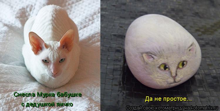 Снесла Мурка бабушке с дедушкой яичко Да не простое...... Котоматрица: Снесла Мурка бабушке с дедушкой яичко Да не простое...