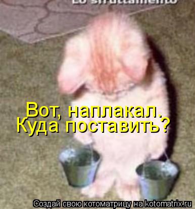 Вот, наплакал. Куда поставить?... Котоматрица: Вот, наплакал. Куда поставить?
