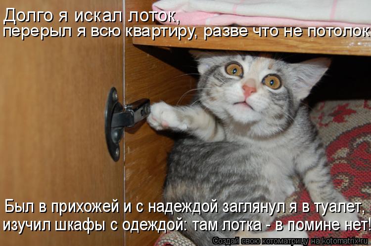 Котоматрица: перерыл я всю квартиру, разве что не потолок. Долго я искал лоток,  изучил шкафы с одеждой: там лотка - в помине нет! Был в прихожей и с надеждо