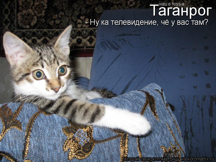 Таганрог - Ну ка телевидение, чё у вас там? наша russia... Котоматрица: Таганрог - Ну ка телевидение, чё у вас там? наша russia