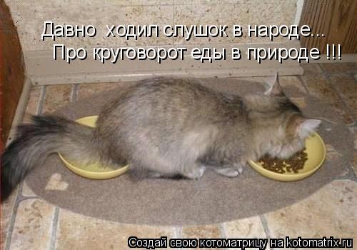 Котоматрица: Давно  ходил слушок в народе... Про круговорот еды в природе !!!