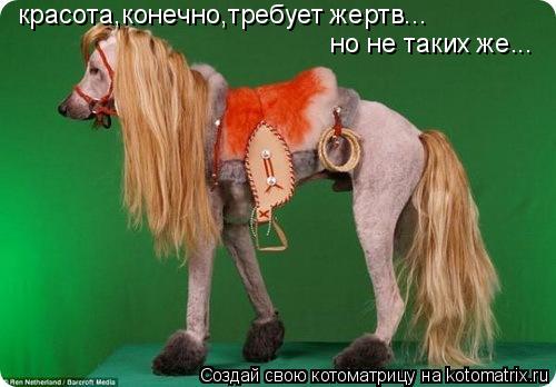 красота,конечно,требует жертв... но не таких же...... Котоматрица: красота,конечно,требует жертв... но не таких же...