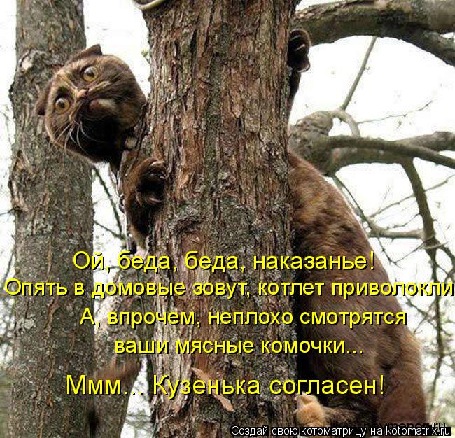 Ой, беда, беда, наказанье! Опять в домовые зовут, котлет приволокли. А, впрочем, неплохо смотрятся в... Котоматрица: Ой, беда, беда, наказанье! Опять в домовые зовут, котлет приволокли. А, впрочем, неплохо смотрятся ваши мясные комочки... Ммм... Кузенька согла