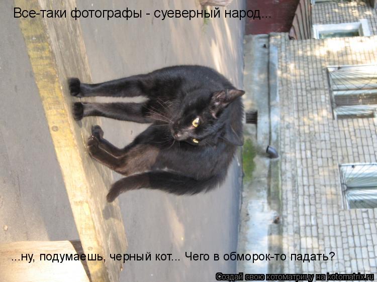 Котоматрица: Все-таки фотографы - суеверный народ... ...ну, подумаешь, черный кот... Чего в обморок-то падать?