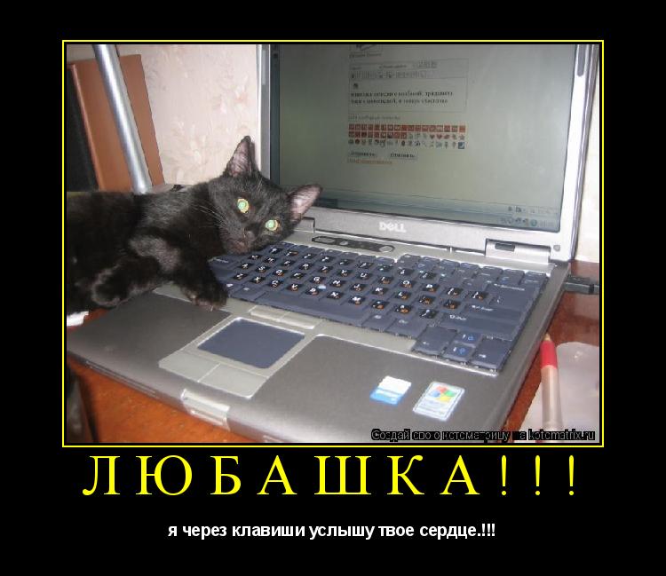 любашка!!! я через клавиши услышу твое сердце.!!!... Котоматрица: любашка!!! я через клавиши услышу твое сердце.!!!