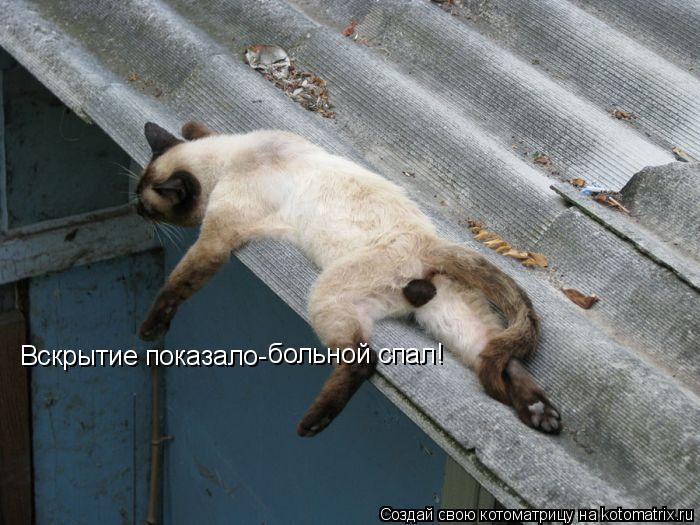 Вскрытие показало- больной спал!... Котоматрица: Вскрытие показало- больной спал!