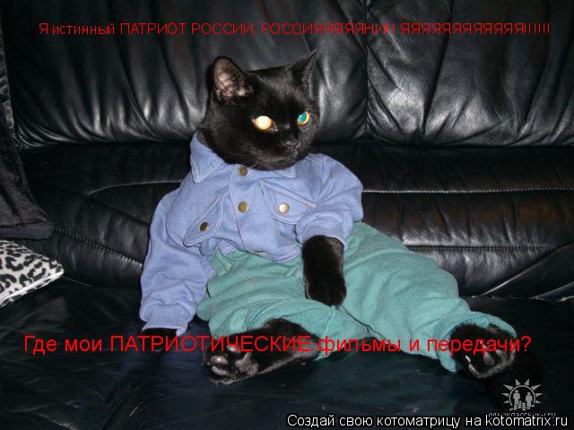 Где мои ПАТРИОТИЧЕСКИЕ фильмы и передачи? Я истинный ПАТРИОТ РОССИИ, РОССИЯЯЯЯЯНИН ЯЯЯЯЯЯЯЯЯЯЯЯ!!!!!... Котоматрица: Где мои ПАТРИОТИЧЕСКИЕ фильмы и передачи? Я истинный ПАТРИОТ РОССИИ, РОССИЯЯЯЯЯНИН ЯЯЯЯЯЯЯЯЯЯЯЯ!!!!!!