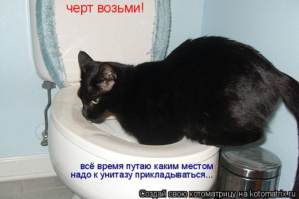 черт возьми! всё время путаю каким местом надо к унитазу прикладываться...... Котоматрица: черт возьми! всё время путаю каким местом надо к унитазу прикладываться...
