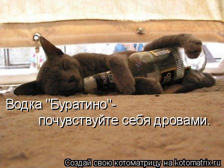 Водка "Буратино"- почувствуйте себя дровами.... Котоматрица: Водка "Буратино"- почувствуйте себя дровами.
