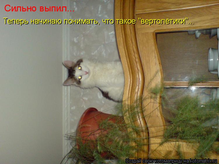 Сильно выпил... Теперь начинаю понимать, что такое "вертолётики"...... Котоматрица: Сильно выпил... Теперь начинаю понимать, что такое "вертолётики"...