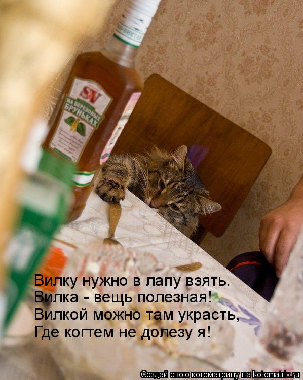 Котоматрица: Вилку нужно в лапу взять. Вилка - вещь полезная! Вилкой можно там украсть, Где когтем не долезу я!