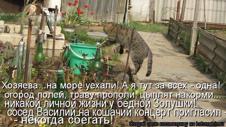 - некогда сбегать! никакой личной жизни у бедной Золушки! огород полей, траву прополи, цыплят накорм... Котоматрица: - некогда сбегать! никакой личной жизни у бедной Золушки! огород полей, траву прополи, цыплят накорми... Хозяева...на море уехали! А я тут за в