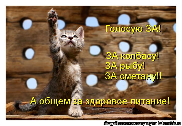 Голосую ЗА! ЗА колбасу! ЗА рыбу! ЗА сметану!! А общем за здоровое питание!... Котоматрица: Голосую ЗА! ЗА колбасу! ЗА рыбу! ЗА сметану!! А общем за здоровое питание!