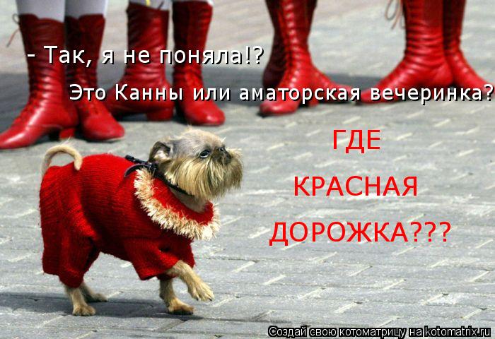 - Так, я не поняла!? Это Канны или аматорская вечеринка? ГДЕ КРАСНАЯ ДОРОЖКА???... Котоматрица: - Так, я не поняла!? Это Канны или аматорская вечеринка? ГДЕ КРАСНАЯ ДОРОЖКА???