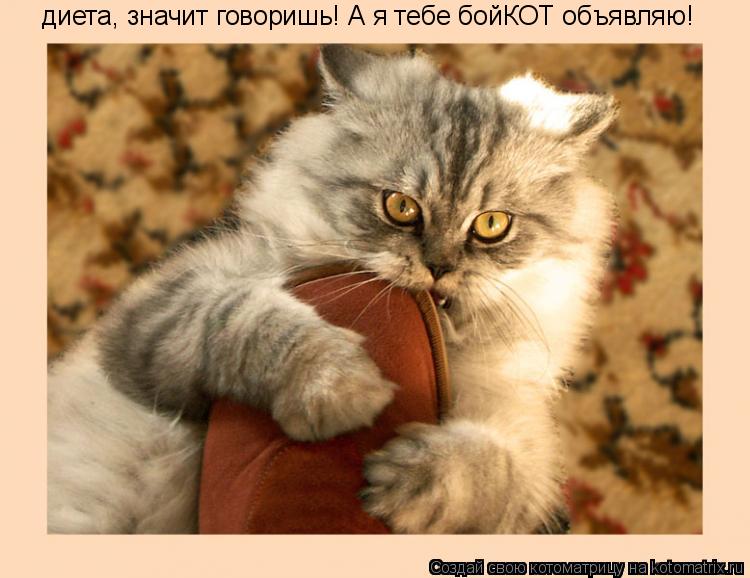 диета, значит говоришь! А я тебе бойКОТ объявляю!... Котоматрица: диета, значит говоришь! А я тебе бойКОТ объявляю!