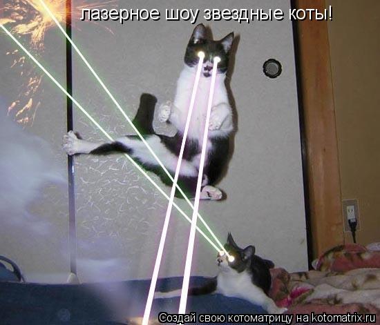 Котоматрица: лазерное шоу звездные коты!