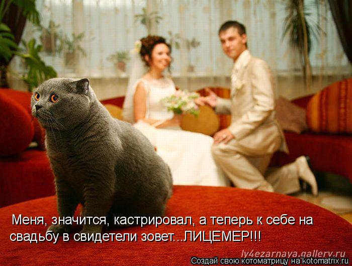 Меня, значится, кастрировал, а теперь к себе на свадьбу в свидетели зовет...ЛИЦЕМЕР!!!... Котоматрица: Меня, значится, кастрировал, а теперь к себе на свадьбу в свидетели зовет...ЛИЦЕМЕР!!!