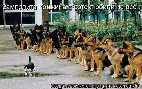 Замполита Кошкина в роте любили не все..... Котоматрица: Замполита Кошкина в роте любили не все..