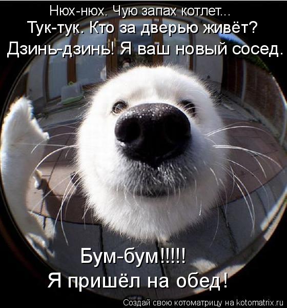 Котоматрица: Тук-тук. Кто за дверью живёт? Дзинь-дзинь! Я ваш новый сосед. Бум-бум!!!!! Я пришёл на обед! Нюх-нюх. Чую запах котлет...